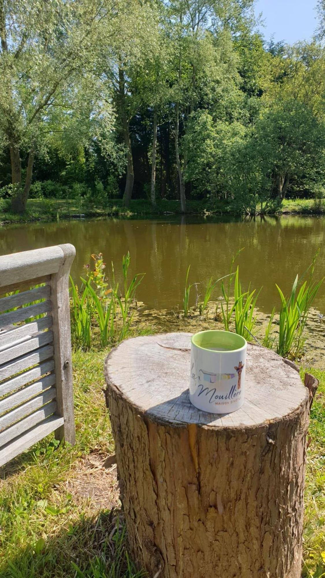 La Mouillere Bed and Breakfast Verton Buitenkant foto