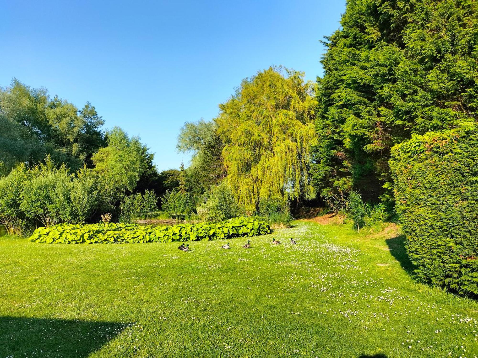 La Mouillere Bed and Breakfast Verton Buitenkant foto